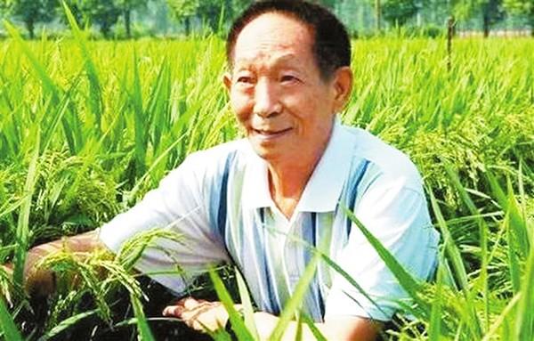 Yuan Longping